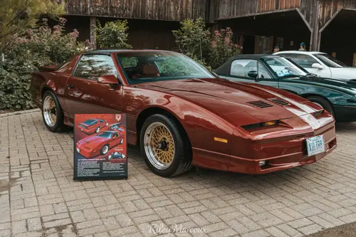 2024 OBLIVION VI Car Show photo 26
